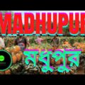 Madhupur Rabar Garden | Beautiful Madhupur | Travel Vlog | Beautiful Bangladesh | New Video 2021