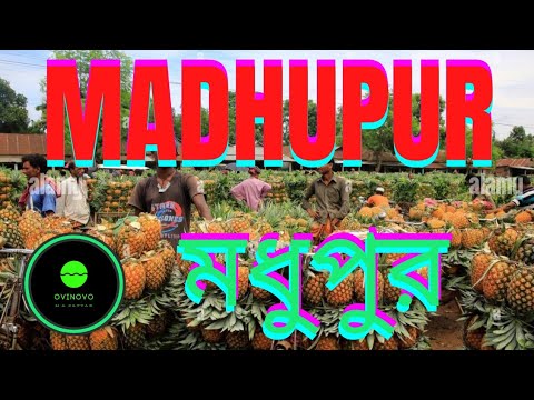 Madhupur Rabar Garden | Beautiful Madhupur | Travel Vlog | Beautiful Bangladesh | New Video 2021