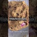 Bangladesh Hilsha Fish Tail Vorta Mash Recipe | বাংলাদেশ চাঁদপুরের ইলিশ #shorts #recipe #food