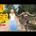 cartoon cow 🐮 fun run 🐄 chili peppers 🌶 New Bangla Funny Video 😀 Dr.Lony