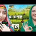 Pakistani react to Tea Garden | Sylhet | Travel Video 2020 | Beautiful Bangladesh | Binodon Media