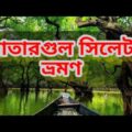 Ratargul Swamp Forest in September । রাতারগুল জলাবন । Sylhet | Travel Bangladesh