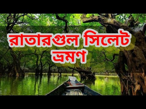 Ratargul Swamp Forest in September । রাতারগুল জলাবন । Sylhet | Travel Bangladesh