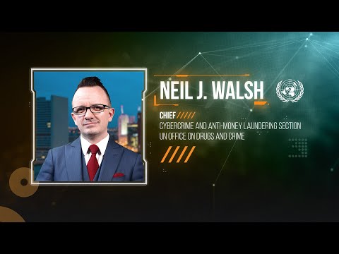 Visão política de crimes cibernéticos vs lacuna da realidade, Neil Walsh ONU