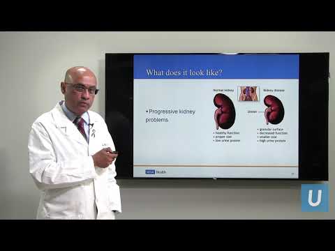 Kidney Disease: What You Should Know | Anjay Rastogi, MD | UCLAMDChat