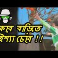 Kaissa Funny Apple Drama | Bangla Comedy