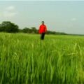 Bangladesh patriotic song music video