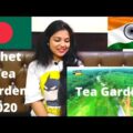 INDIAN REACTION ON Tea Garden | Sylhet | Travel Video 2020 | Beautiful Bangladesh |