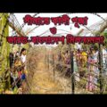 সীমান্তে কালীপূজা ও ভারত-বাংলাদেশ মিলনমেলা | India-Bangladesh Border | Travel | Documentary