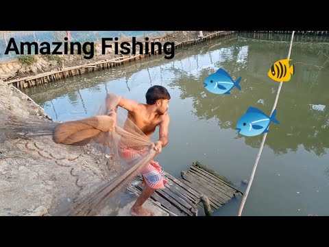 Amazing Cast Net Fishing//Easy Fishing 🐠🐟🐠//ODIAVLOGS TRAVEL//fishing in Bangladesh//village fishing