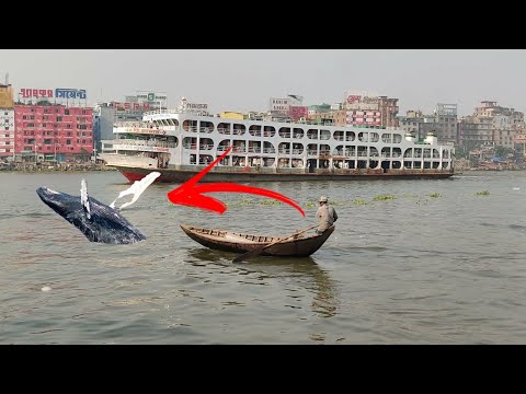 Bangladesh Biggest Ship passing | Big Launch BD | launch Lover | Big Ship | Travel Vlog 9