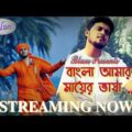 Bangla Amar Maayer Bhasha l বাংলা আমার মায়ের ভাষা l Blues Music Video l Snehasish Chakraborty