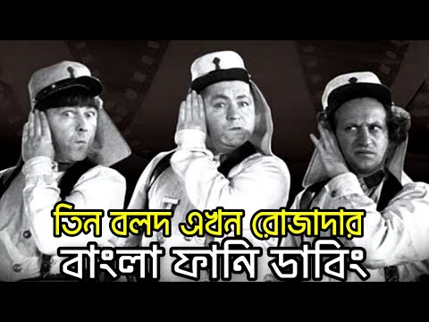Three Stooges Rojadar | Bangla Funny Dubbing | Bangla Funny Video | Khamoka tv New Video