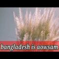 Aowsam bangladesh