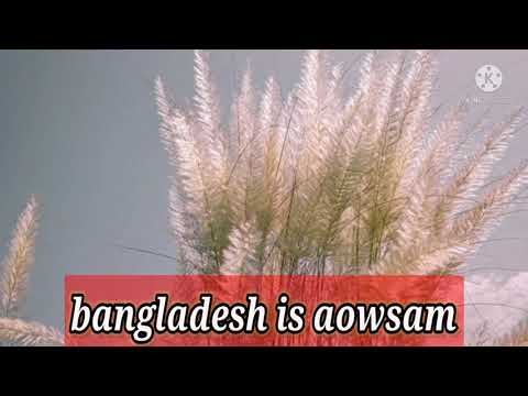 Aowsam bangladesh