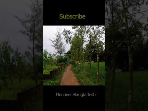 রুপসী ঝরনা সীতাকুণ্ড Travel Rupasi Waterfall Sitakunda | Uncover Bangladesh