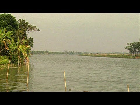 বাংলাদেশের সীমান্তের নদী ফেনী | TRAVEL BORDERLINE RIVER FENI in Bangladesh