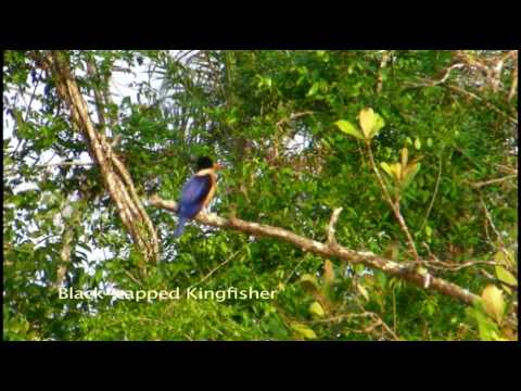 Sensational Sundarbans of Bangladesh – Part 1