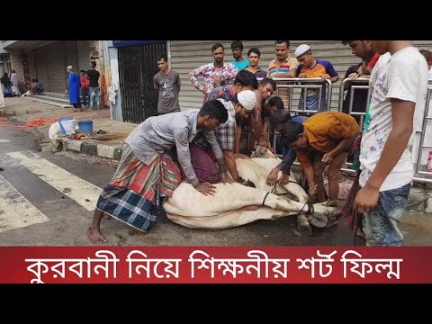 কোরবানি নিয়ে শিক্ষনীয় শর্টফিল্ম | কোরবানির নামে মাংস খাওয়া  | EID Natok 2021 | Sohel Bangla