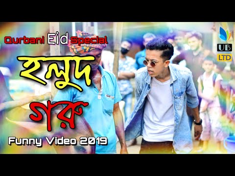 হলুদ গরু || Holud Goru || Qurbani Bangla Funny Video 2019 || Durjoy Ahammed Saney