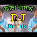 Kancha badam DJ remix কাচা বাদাম funny 🤣 video 2021#bangla #funny