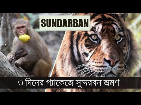 Sundarban Tour (সুন্দরবন ভ্রমণ গাইড) | World's Largest Mangrove Forest | Bagerhat Khulna Bangladesh