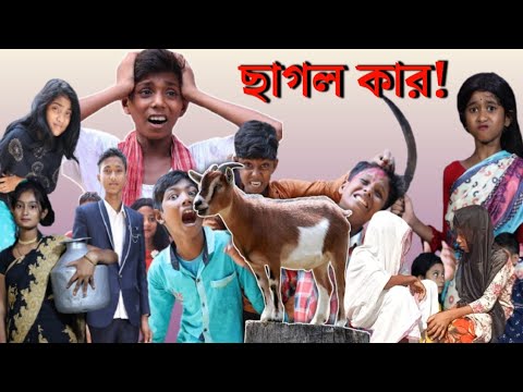 বাংলা ফানি ভিডিও ! ছাগল কার | Bangla Funny Video 2022 | Funny Guru TV