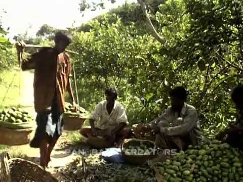 Travel & food bd,part7. beautiful srimongol in Bangladesh