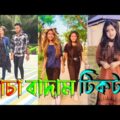 বাদাম বাদাম টিকটক | badam badam tiktok 2021 | Bangla New Funny Tiktok Video Video