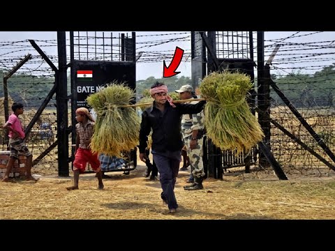 সীমান্তবর্তী গ্রামে ঘুরাঘুরি | Interview | India Bangladesh Border! Village Vlog