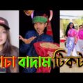 বাদাম বাদাম টিকটক | badam badam tiktok 2021 | Bangla New Funny Tiktok Video