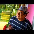 Mera Intekam (Aatadukundam Raa) – Brahmanandam Best South Comedy Hindi Dubbed Movie l Sushanth