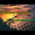 নাম ঠিকানা জানা নাই ♪ No copyright music Bangladesh | New Bangla music 2020
