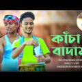 কাঁচা বাদাম | Kacha Badam | Badam Badam Song | Bangla Funny Video 2021 | BD ChapabazZ