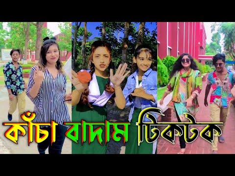 কাঁচা বাদাম টিকটক | kacha badam tiktok 2021 | Bangla New Funny Tiktok Video