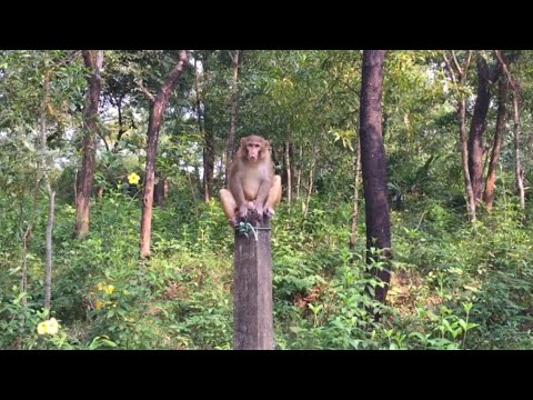 🐒 Trip to Adventure World & Parjatan in Sylhet | 🇧🇩 Bangladesh Funny Food & Travel VLOG