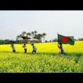 Why You Should visit BANGLADESH ?