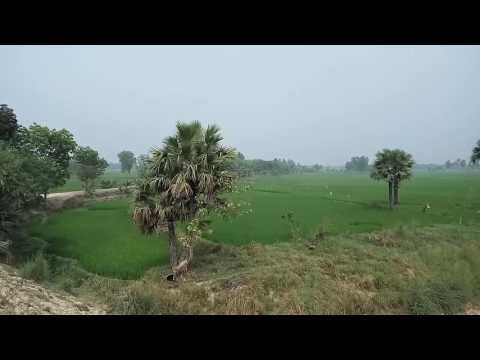 Beautiful village in Bangladesh