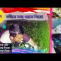 Vlog-1 || মাছের নেশায় রাতের অন্ধকারে গভীর নদীতে  || New Bangla funny video 2020||