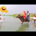 Must Watch Best Amazing New Funny Video 2021 🤣😜 Best Funny Comedy Video 2021 By Bihari Funny Dhamaka