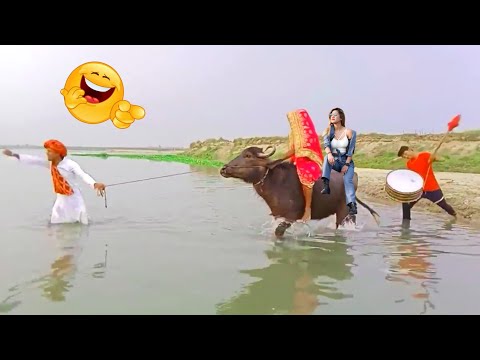 Must Watch Best Amazing New Funny Video 2021 🤣😜 Best Funny Comedy Video 2021 By Bihari Funny Dhamaka