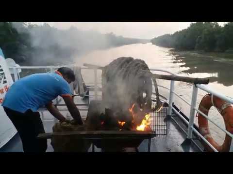 Sundarbans, Bangladesh, land of tigers and fish: A travel documentary