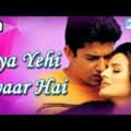 Kya Yehi Pyar Hai (2002) – Hindi Full Movie – Aftab Shivdasani | Amisha Patel – Bollywood Movie