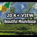 Beautiful Moulvibazar,Sylhet,Bangladesh