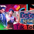 Tiktok/Likee পাগলের পাগলামি || Part-1 || New Bangla funny video by Arfin imran