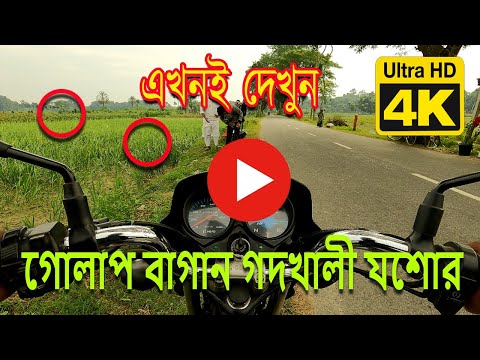 গদখালি গোলাপ বাগান ভ্রমণ | bike travel bangladesh I godkhali flower garden