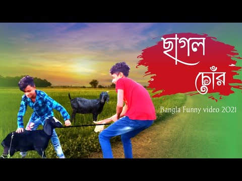 ছাগল চোর👀|| Bangla funny video|| most funny video 2021|| New Natok Akash khan