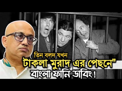 তিন বলদ যখন টাকলা মুরাদের পিছনে। The 3 stooges Bangla funny dubbing।Bachal Brothers.