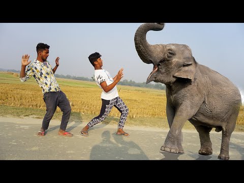 Must Watch New Nonstop Funny Comedy Video 2021😜 Must Funny 2021 Episode 51 By Funny Hut