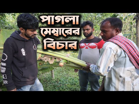 পাগলা মেম্বারের বিচার | Pagla Memberer Bichar | Bangla Funny Video 2021